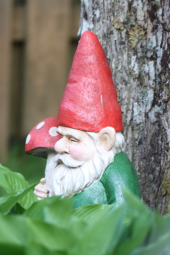 Up-close view of garden gnome on neighboring property through fence