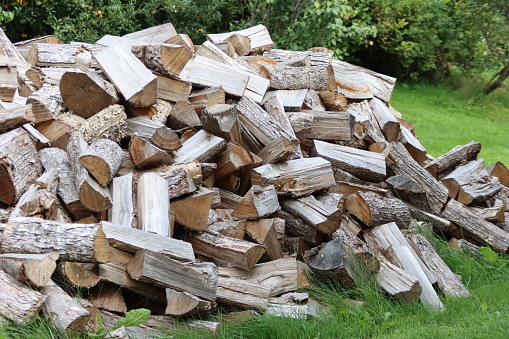 Several cords of cut/split winter wood dropped off