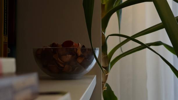 istock Vase in a bookshelf. 1750815368