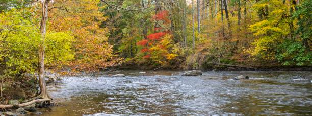 istock Shepaug River on an autumn day 1750838049