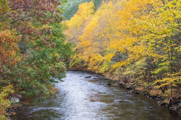 istock Fall foliage near the Shepaug River 1750838054