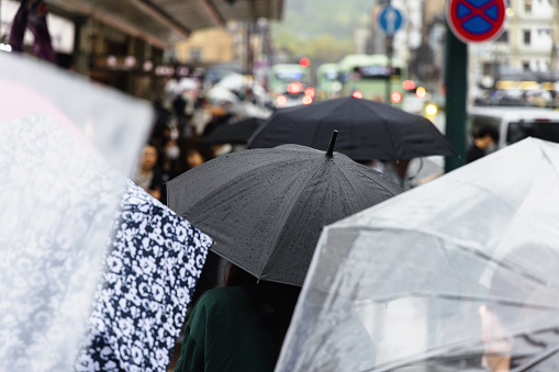 picture of a crowd of pedestrians walking with umbrellas on a rainy day in the city
