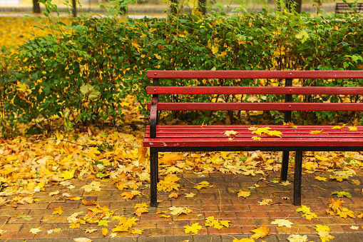 the bench is brown