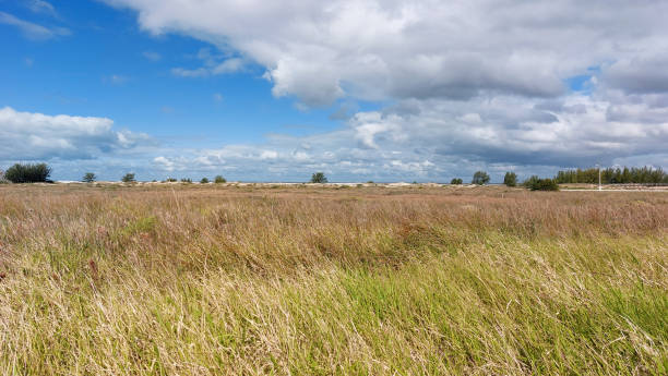 istock Beautiful view of the countryside 1750917135