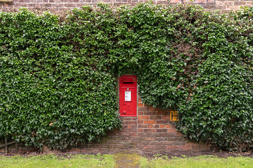 a Royal Mail lot on a vine covered brick wall (in Cumbria, UK)