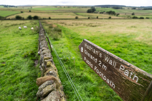 a signpost for Hadrian's Wall Path in a walled pasture, near Gilsland, Northumberland, UK