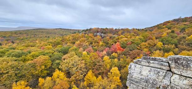 istock The yellow trees in the fall 1750951063