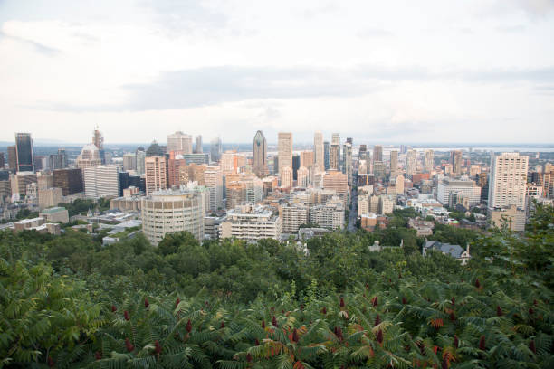 istock Beautiful view of Montreal 1750990621