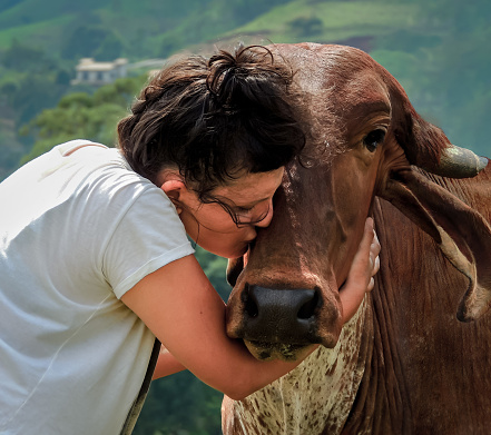 Beautiful image of a young woman showing affection to a cow by kissing the farm animal on his head.