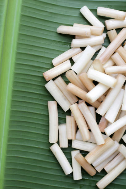 istock Fresh lotus rootlet on banana leaf 1751142218