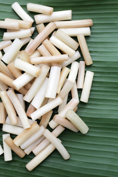 istock Fresh lotus rootlet on banana leaf 1751142249
