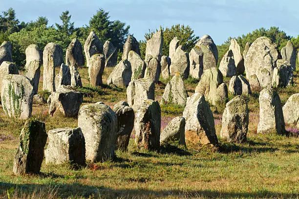 Carnac monoliths alignment under morning sunlight  in Brittany, france