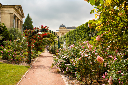 Garden of roses in the Jardin de Plant in Paris,  France. Eastern part of the garden with it's beautiful rose archways in June.