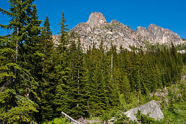 Liberty Bell Mountain and South Early Winter Spire The North Cascades is a vast wilderness of conifer-clad mountains, glaciers and lakes. It is one of the more remote wilderness areas in the Continental United States. This view of Liberty Bell Mountain and South Early Winter Spire was photographed from the Blue Lake Trail in North Cascades National Park, Washington State, USA. liberty bell mountain stock pictures, royalty-free photos & images