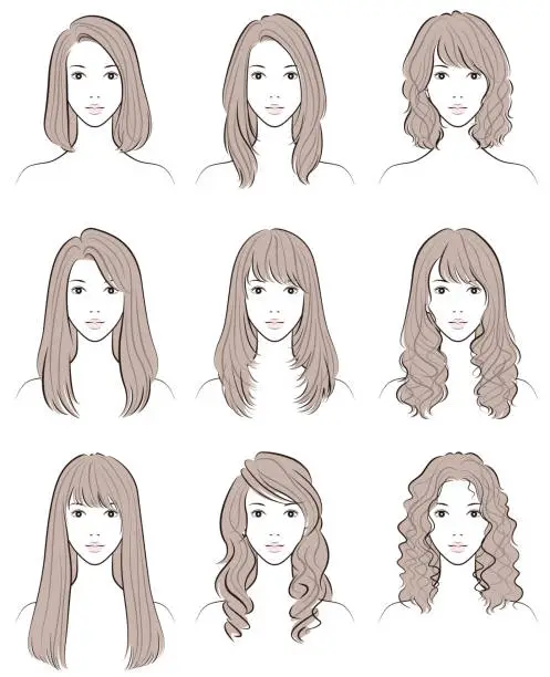 Vector illustration of Illustration of women's hairstyles. Variations of hairstyles.