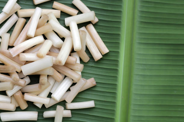 istock Fresh lotus rootlet on banana leaf 1751180387