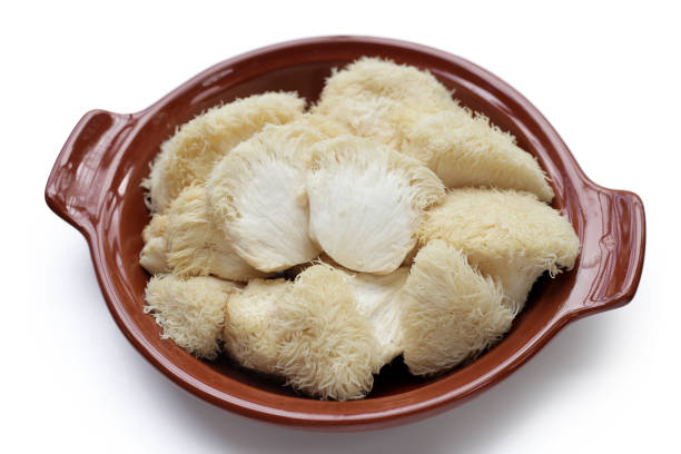 istock Fresh lion's mane mushroom on white background. (Yamabushitake Mushroom) 1751181517
