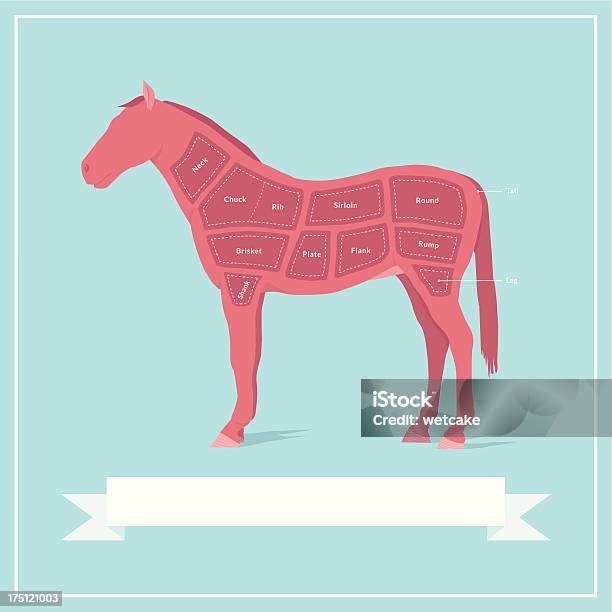 Cortes De Carne De Cavalo - Arte vetorial de stock e mais imagens de Cavalo - Família do Cavalo - Cavalo - Família do Cavalo, Anatomia, Vetor