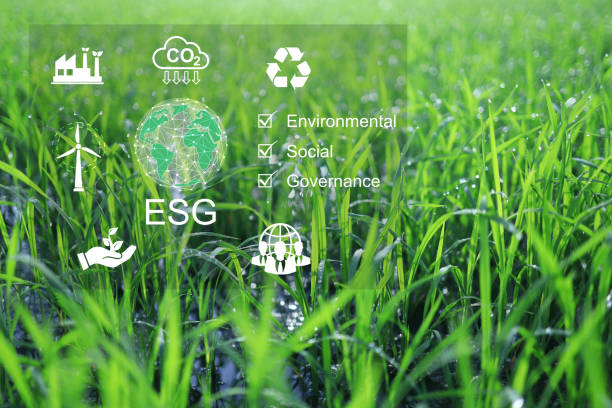 istock ESG environmental social governance 1751216638