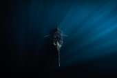 Whale shark swimming down into the deep dark ocean with light rays shining on it