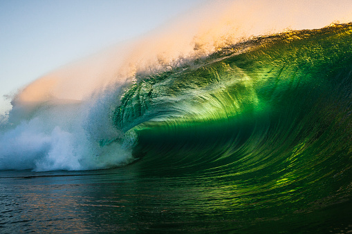 Powerful green breaking wave in back lit golden light. Photographed in NSW, Australia.