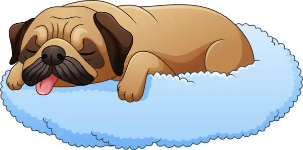 Vector illustration of Cute pug dog cartoon sleeping on the pillow