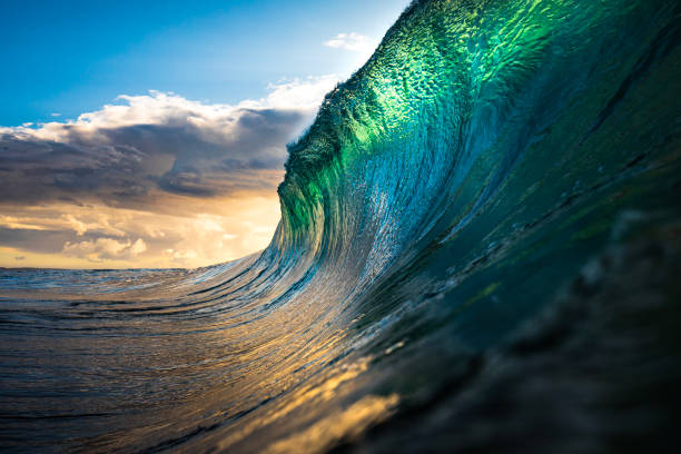 istock Powerful green breaking wave in back lit golden light 1751230613