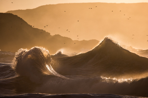 Golden waves peaking into pyramid shapes in the ocean with glorious golden light. Photographed along the south east coast of Australia.
