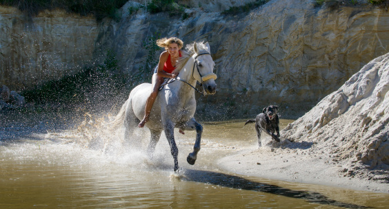 Rider on a white horse with dynamics by a river, next to a black dog