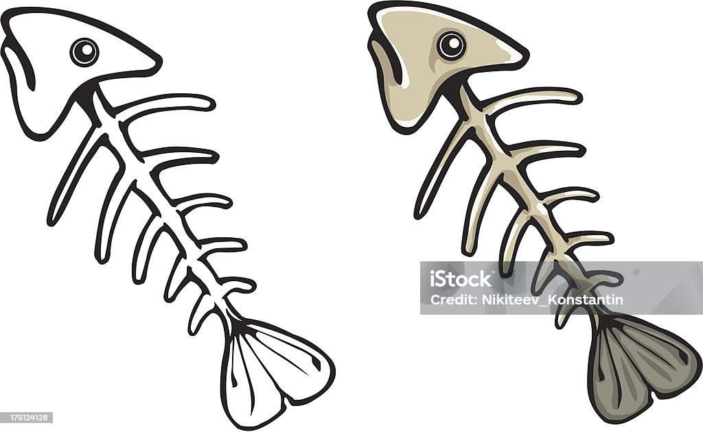 Vector de peces esqueleto - arte vectorial de Anatomía libre de derechos