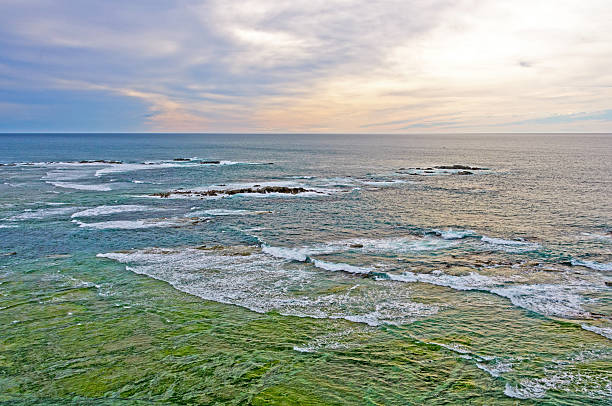 早朝には、海の海岸 - marlborough region sunrise new zealand sea ストックフォトと画像