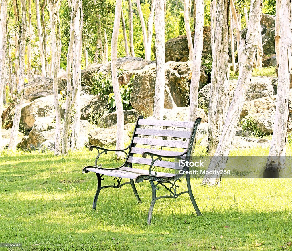Metalowe krzesła w ogrodzie - Zbiór zdjęć royalty-free (Aranżować)