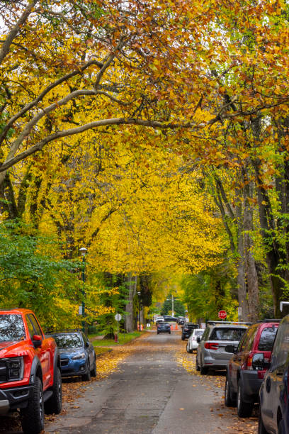 istock Autumn street scene 1751278645
