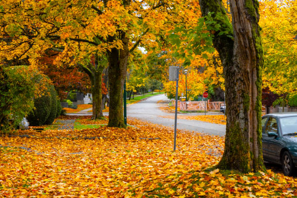 istock Autumn street scene 1751278653