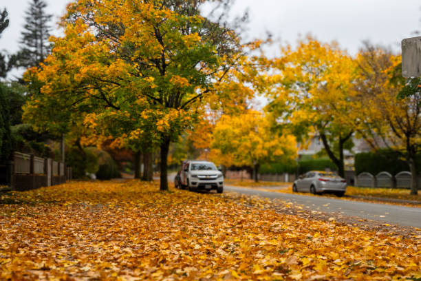 istock Autumn street scene 1751278654