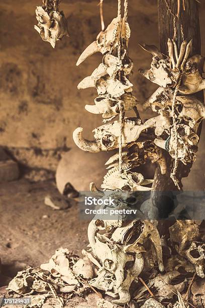 Animale Capo Al Voodoo - Fotografie stock e altre immagini di Cranio animale - Cranio animale, Vudù, Africa
