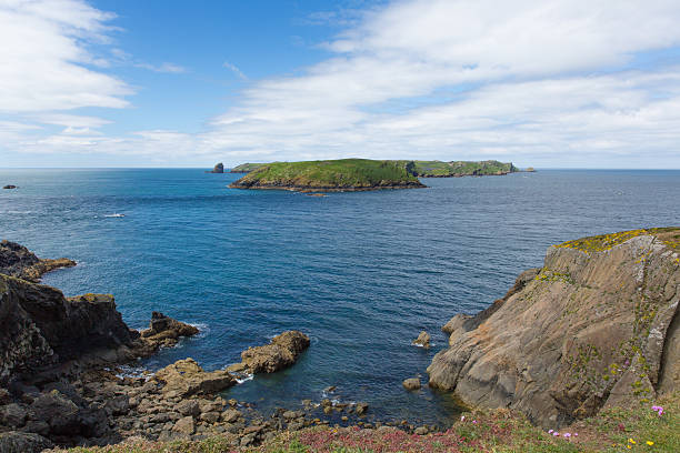 istock Skomer Island Pembrokeshire West Wales 175129531