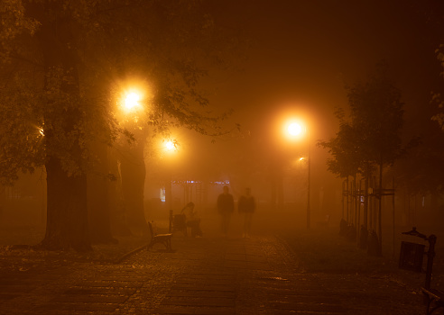 Park at Night, Fog