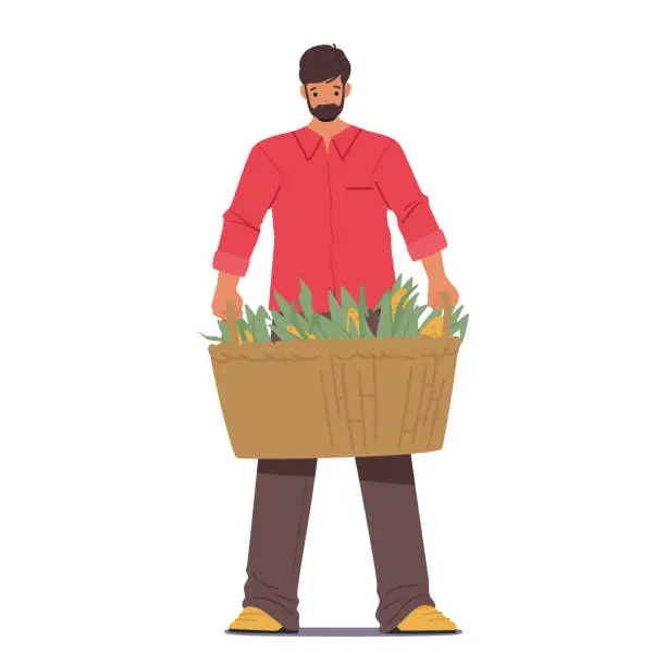 Vector illustration of Farmer Male Character Proudly Holds A Rustic Basket Overflowing With Freshly Harvested Golden Corn Cobs, Vector