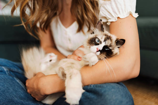istock Me and my furry friend 1751335129