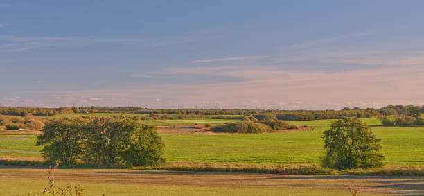 istock Green fields and blue sky in late summer early winter 1751336292