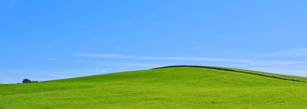 istock Green fields and blue sky in late summer early winter 1751336293