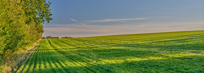 Photo of farmland & countryside in late summer early autumn made by Medium Format camera