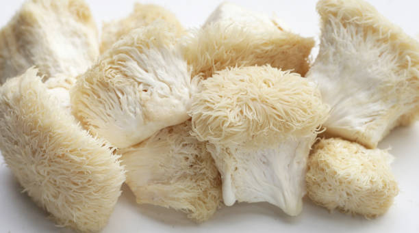 istock Fresh lion's mane mushroom on white background. (Yamabushitake Mushroom) 1751383271