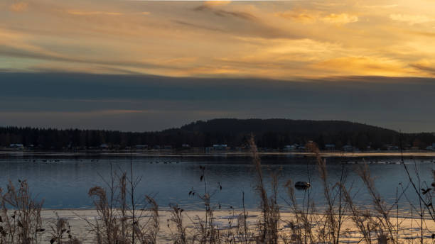istock Golden sunset over the lake 1751392489