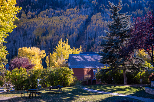 Beautiful scenic tree color in Quray Colorado during the late summer afternoon.