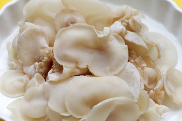 istock White jelly mushroom or white ear mushroom 1751434565
