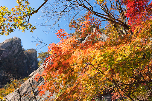 Autumn Seoul Dobongsan Korea