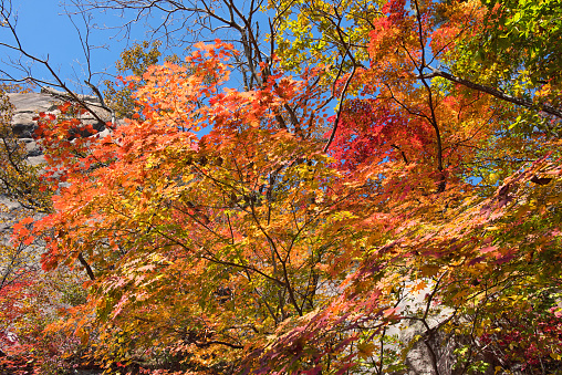 Autumn Seoul Dobongsan Korea