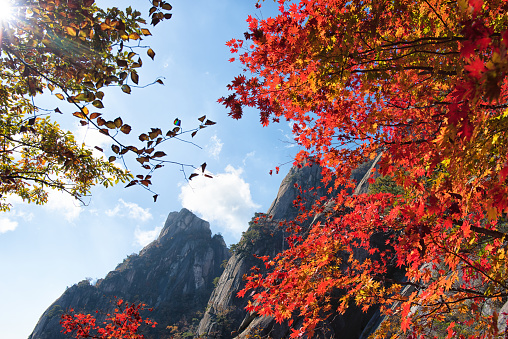 Autumn Seoul Dobongsan Korea